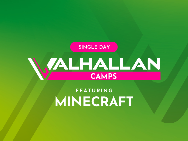 Fun Minecraft® Camp – Single Day  Camp!
